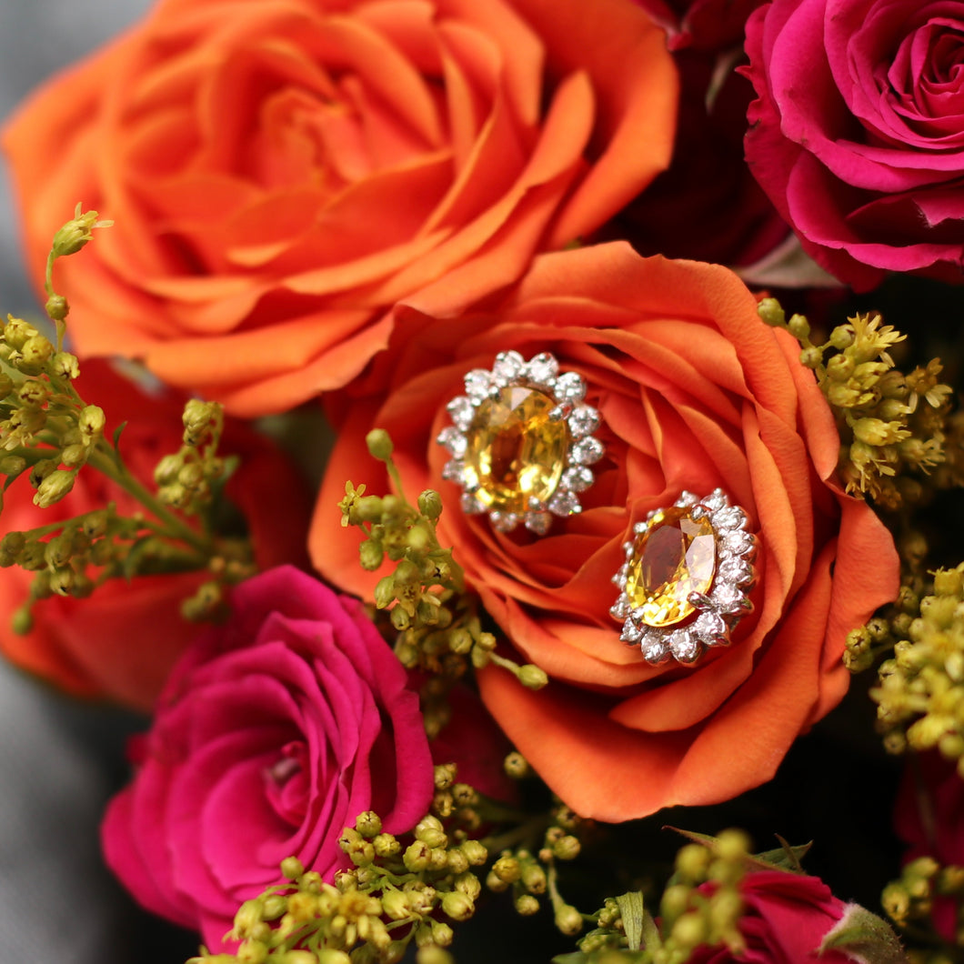 Yellow Sapphire Earrings
